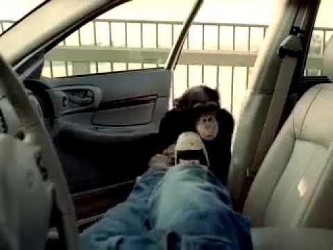 The best anti theft device смотреть онлайн