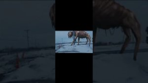 Кто же такой большой Чарли и история его появления