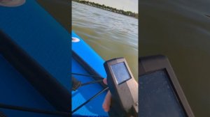 Включаем задний ход на пульте flipsky vx3.  Электроплавники 4, и 6 кват