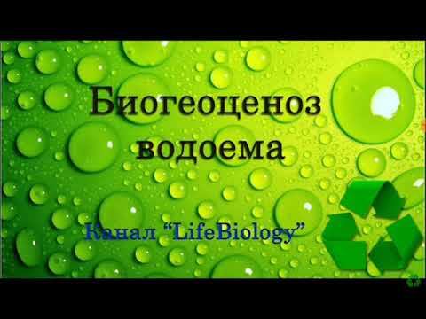 Биогеоценоз водоёма