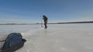 УДАЧНАЯ РЫБАЛКА ПО ПОСЛЕДНЕМУ ЛЬДУ. ОТОРВАЛСЯ ОТ ДУШИ В ОСТРОВАХ ВОЛГИ