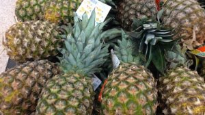 4139163-hd_1920_1080_30fps