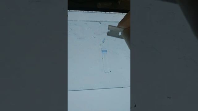 cutting coomassie stained gel band смотреть онлайн