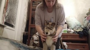 7 октября 2024 г.