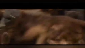 Ainsi bas la vida (на русском)