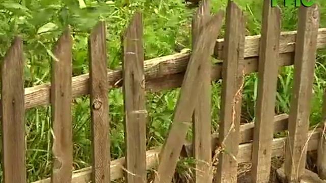 Бабушки проверили на прочность новые лавочки смотреть онлайн