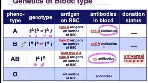 U07 Lesson 03 Codominance and Blood Types