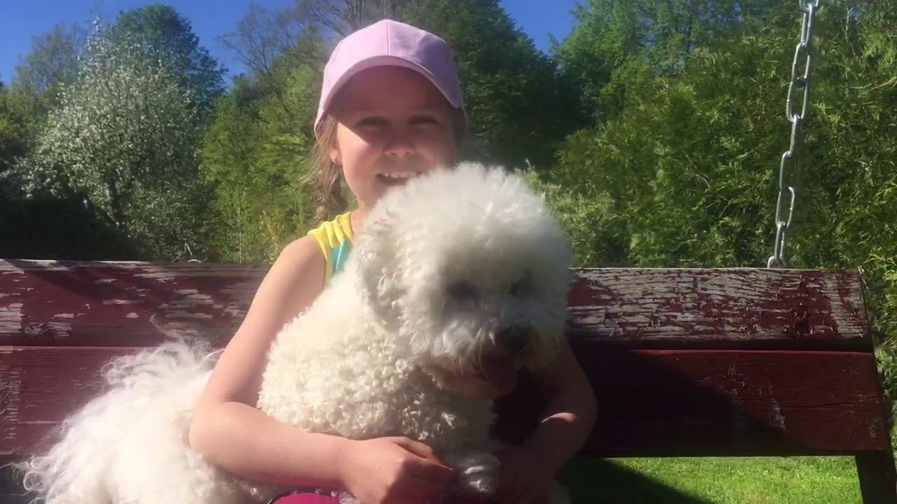 Добро пожаловать на канал Алиса Mega TV смотреть онлайн