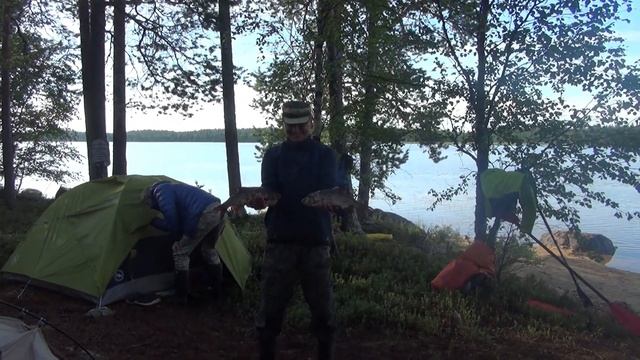 Воньга    классический матрас 2022