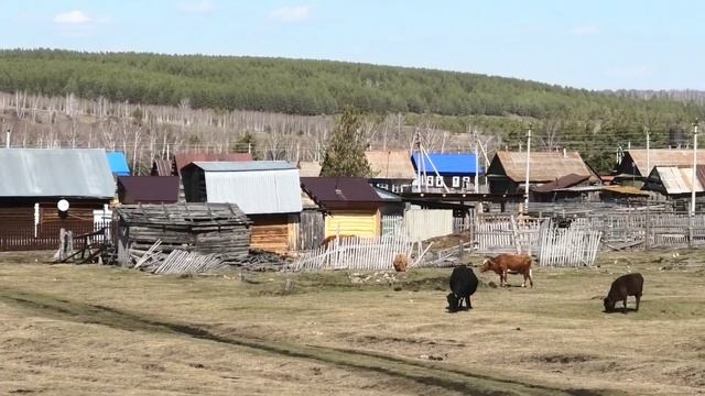 Река Белая от хребта Крака до Арского камня.  Белорецкий район. Башкортостан.  Южный Урал.
