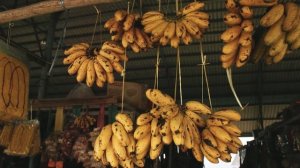 2882112-uhd_3840_2160_24fps