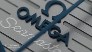 Omega Aqua Terra 150M Co-Axial Master Chronometer 220.12.41.21.06.001