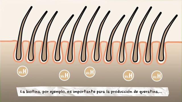 Suplemento alimenticio para perros BELCANDO | #2 DERM Tabs