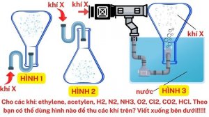 SẮP HẾT HÈ (THU CHIẾC LÁ VÀNG RƠI RỤNG....)