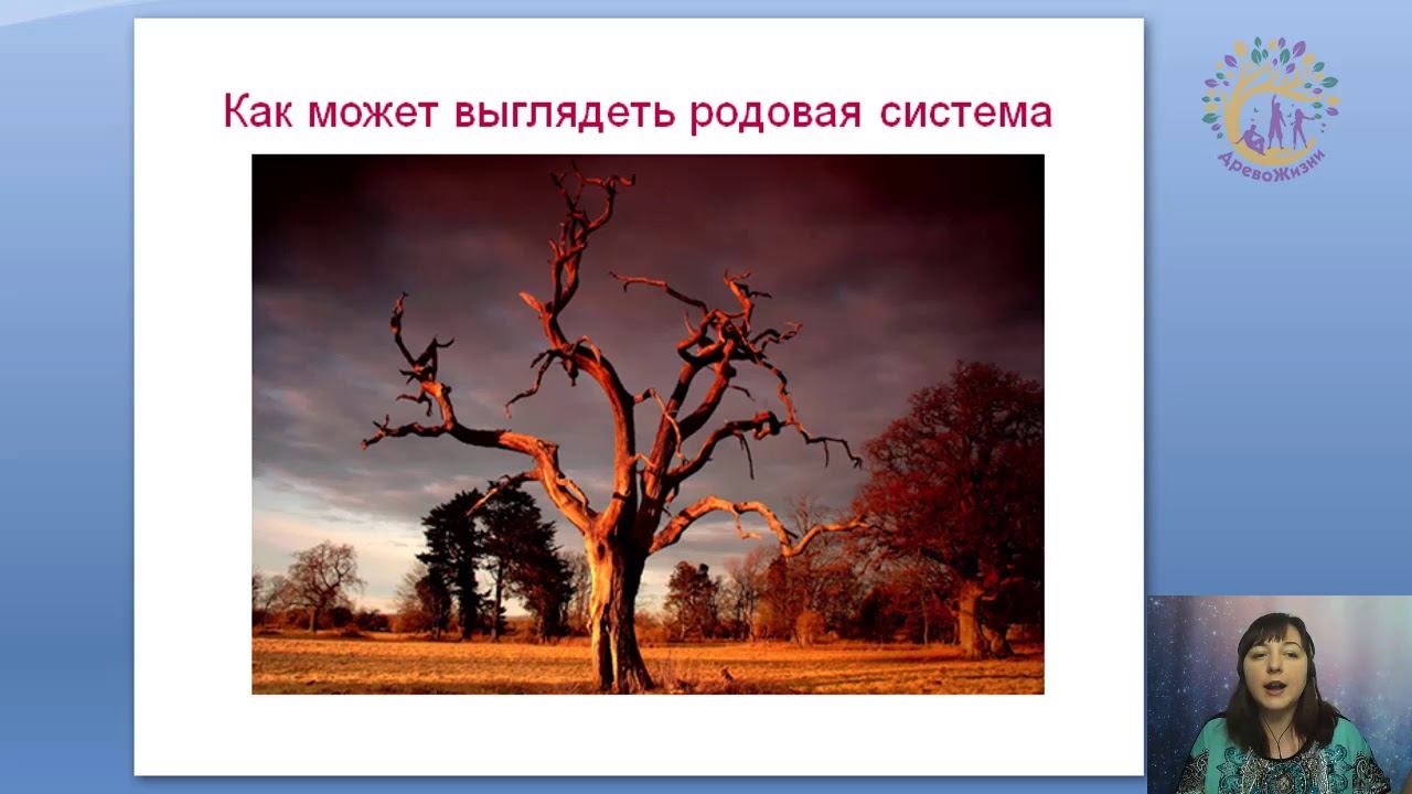 Видео урок «Родовая и семейная система»