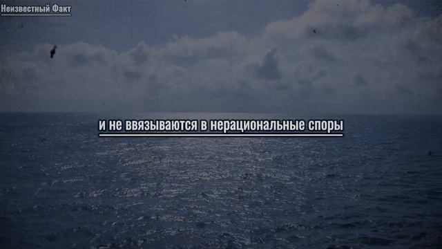 Овладейте искусством и черной психологией ИГНОРИРОВАНИЯ ЖЕНЩИН | Поведение человека