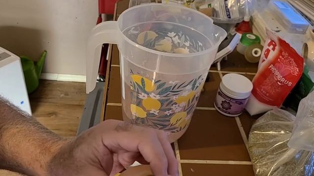 Treating your Cal -Mag deficiency plants, giveaway info at the end of video! смотреть онлайн