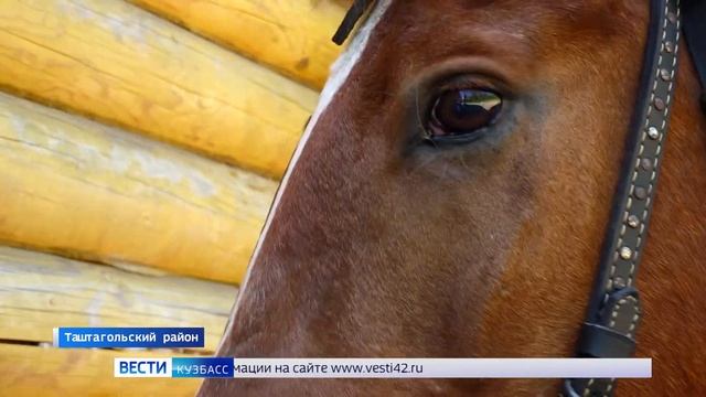 В Таштагольском районе дети с ОВЗ проходят реабилитацию с помощью иппотерапии смотреть онлайн