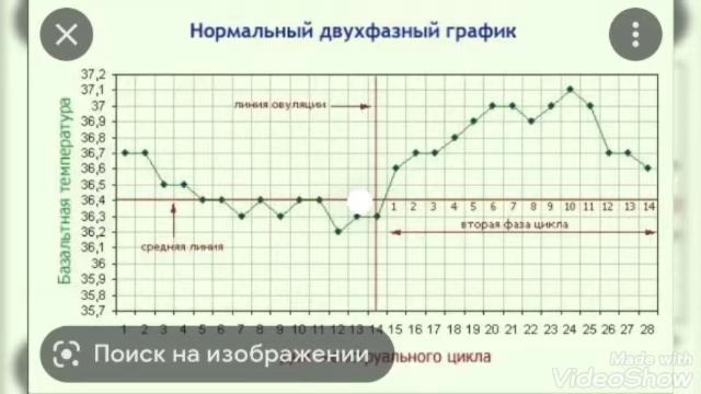 Bazal haroratni o'lchash.bazal haroratning homiladorllikka aloqasi.Ginekolog N.Anvarovna смотреть онлайн