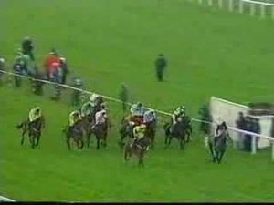 Belle Epoque Sefton Novices' Hurdle Aintree 1998