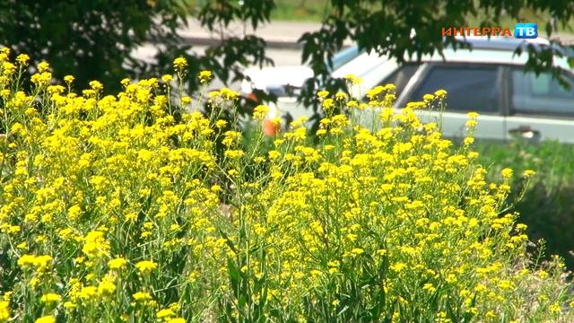 На Средний Урал возвращается тепло смотреть онлайн