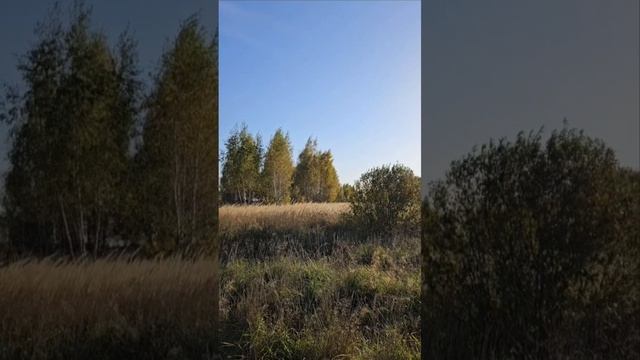 золотая 🍂 осень а России