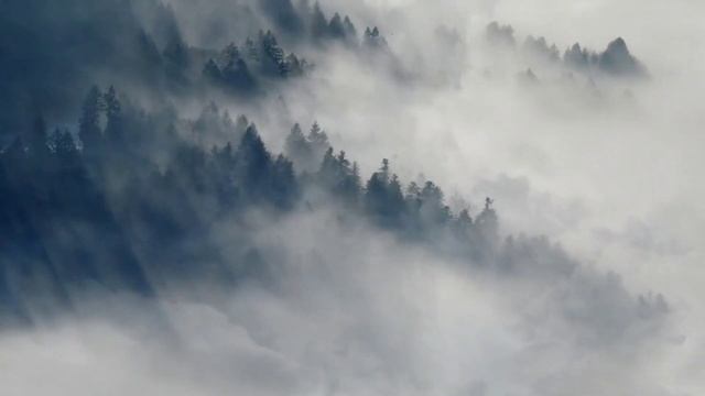 Страшная история от которой замирает дыхание ....