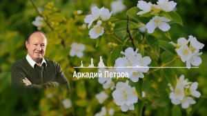Откровение. Читает Аркадий Петров.