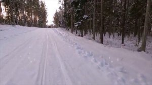Сергей Есенин - Пороша