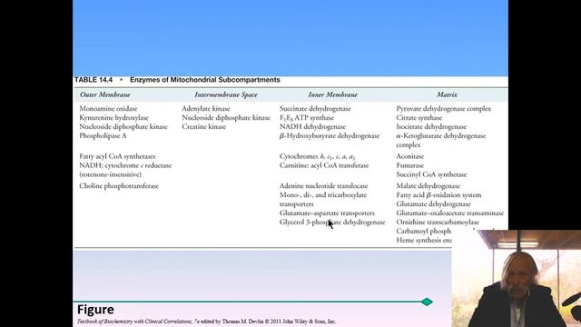 Bioenergetics and the role of lipids in ATP mobilization and High Profile Human Disease смотреть онлайн