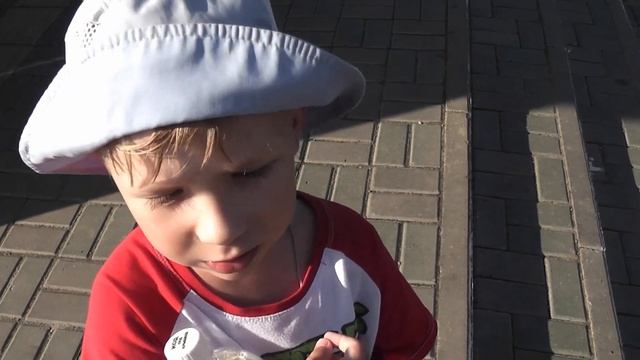 Лето 2023 дети