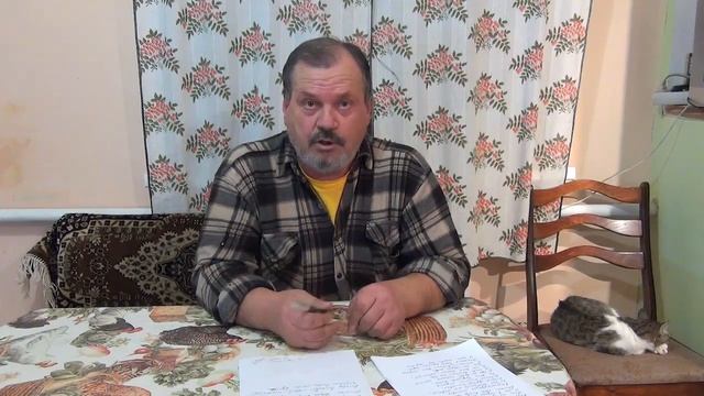 Злободневный ролик 8, Украинский выбор, ЗдР 8, кухонная политика