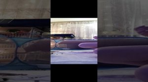 Игра с морскими свинками. Боня и Луня. В вальере.