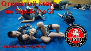 Кэмпо NoGi grappling. Открытый ковер по борьбе в Феодосии 1.12.24