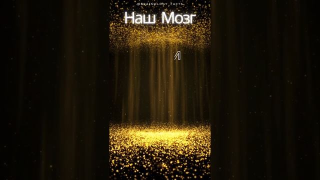 Новые Нейроны: Секреты Нейрогенеза  #мозг #нейронаука #эмоциональноездоровье