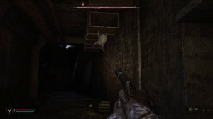 stalker 2  headcrab