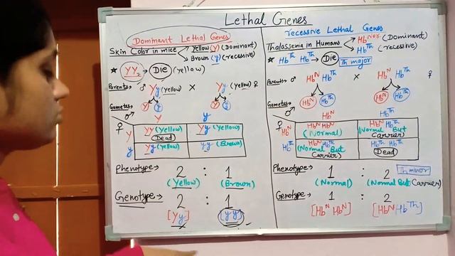 LETHAL GENES- Dominant lethal genes Vs recessive lethal genes смотреть онлайн