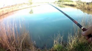 Рыбалка в протоке на Херабуну.