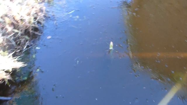 Майский лед. 2017 смотреть онлайн