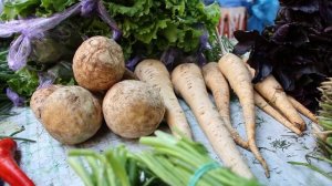 4456545-hd_1920_1080_25fps