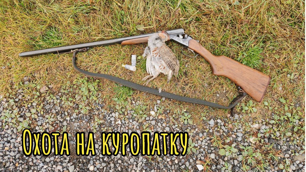 Охота на куропатку