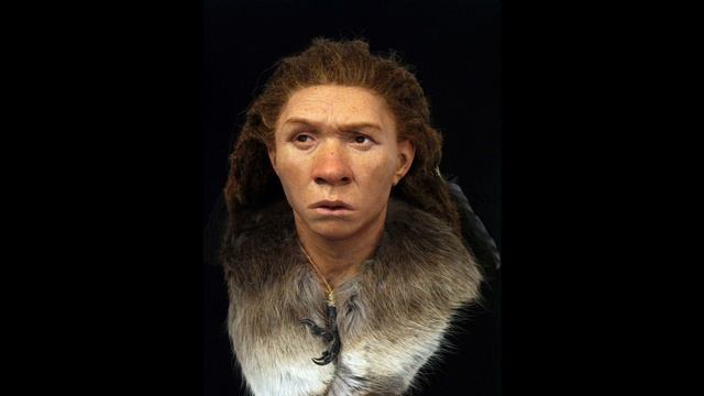 Revisiting Neanderthals смотреть онлайн