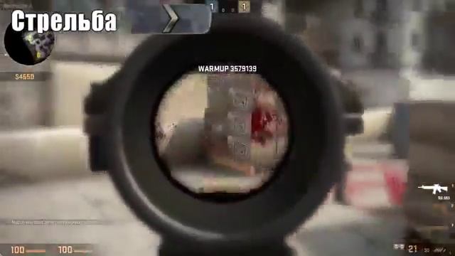 СРАВНЕНИЕ ГЛОБАЛ-СИЛЬВЕР