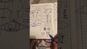 Кортико-нуклеарный путь