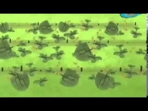 Мультфильм TV  Мистер Мэн  Сад и огород