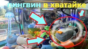БОЛЬШОЙ ПИНГВИН в первом АВТОМАТЕ-ХВАТАЙКЕ любимого владельца!!! Получится ли выиграть???