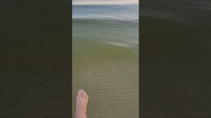 Змеи в Азовском море!!!