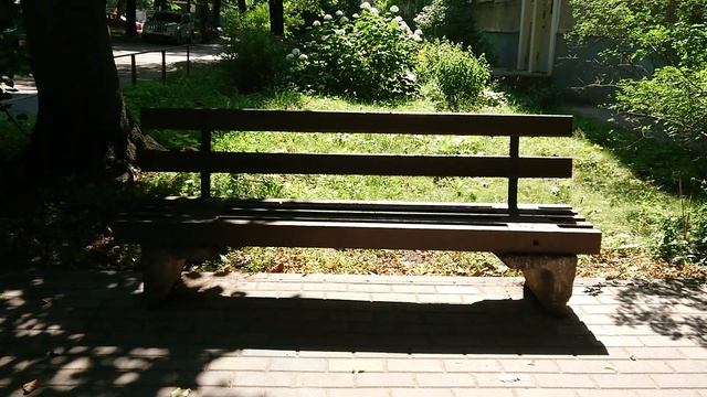 今日の言葉は「ベンチ」！　【Сегодняшнее слово】
