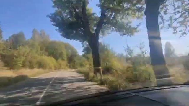 Дорога до Краснолесья