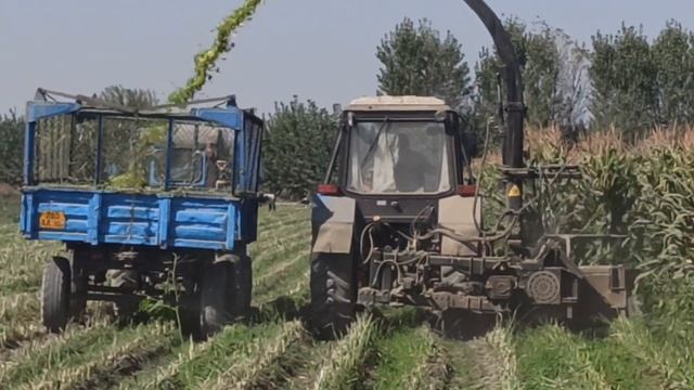 Маккажўхори силос қилувчи 2қаторли техника CELIKEL CHALLENGER II